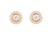 Charming Round Shape 925 Rose Gold Colour Sterling Silver Earrings studded with CZ